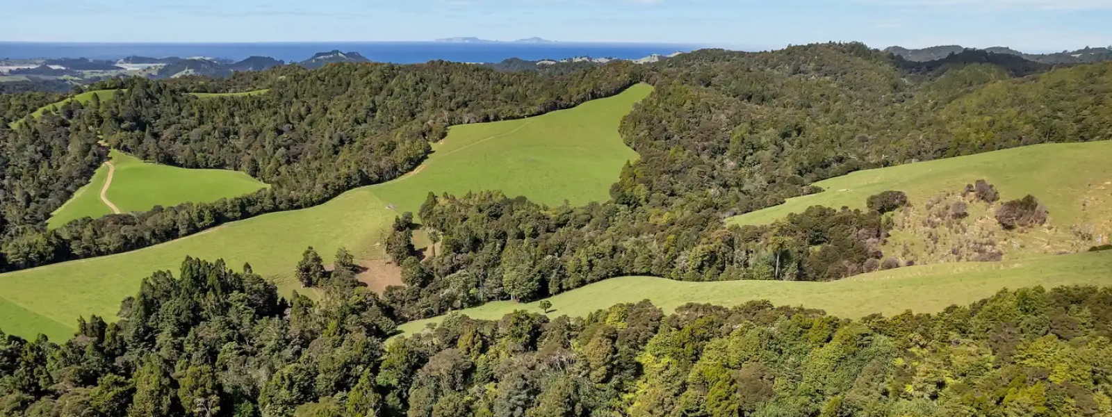 Ātaahua Hills